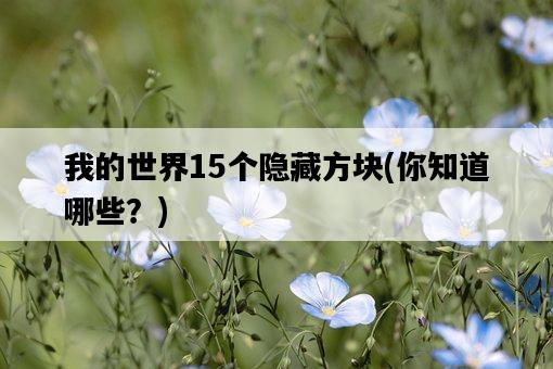 我的世界15個隱藏方塊，你知道哪些？-圖1