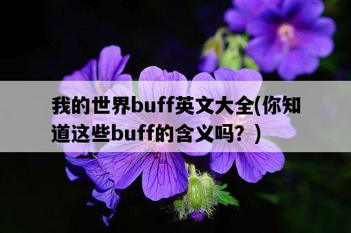 我的世界buff英文大全，你知道這些buff的含義嗎？-圖1
