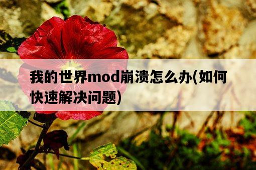 我的世界mod崩潰怎么辦，如何快速解決問題-圖1