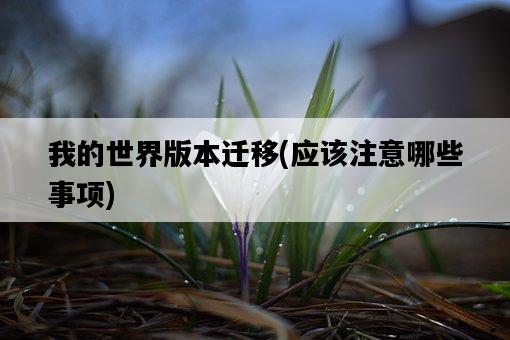 我的世界版本遷移，應該注意哪些事項-圖1