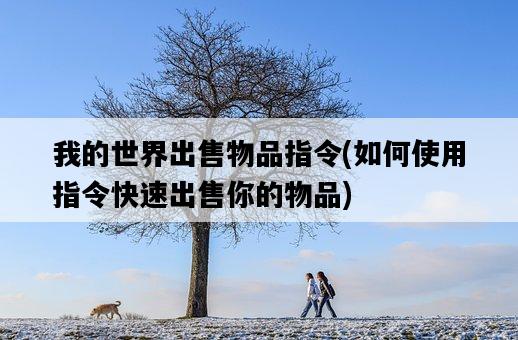 我的世界出售物品指令，如何使用指令快速出售你的物品-圖1