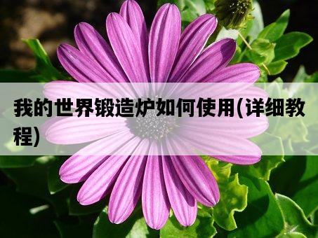 我的世界鍛造爐如何使用，詳細教程-圖1