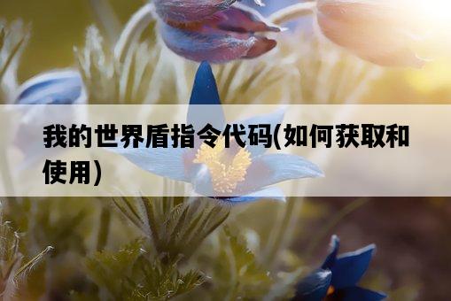 我的世界盾指令代碼，如何獲取和使用-圖1