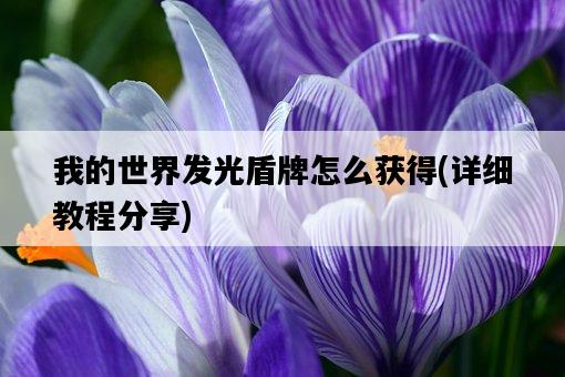 我的世界發光盾牌怎么獲得，詳細教程分享-圖1