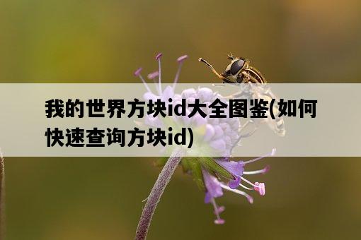 我的世界方塊id大全圖鑒，如何快速查詢方塊id-圖1