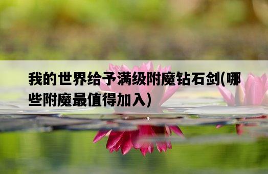 我的世界給予滿級附魔鉆石劍，哪些附魔最值得加入-圖1