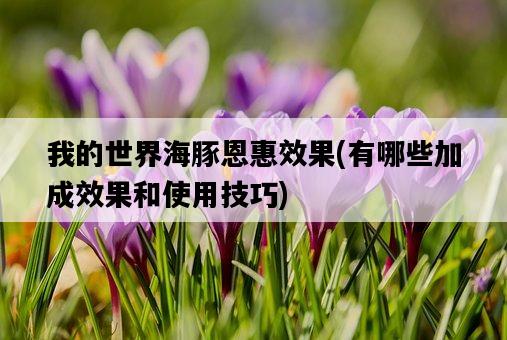 我的世界海豚恩惠效果，有哪些加成效果和使用技巧-圖1