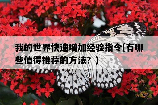 我的世界快速增加經驗指令，有哪些值得推薦的方法？-圖1