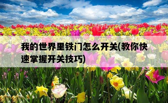我的世界里鐵門怎么開關，教你快速掌握開關技巧-圖1