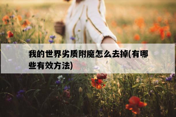 我的世界劣質附魔怎么去掉，有哪些有效方法-圖1