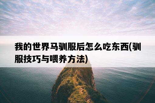 我的世界馬馴服后怎么吃東西，馴服技巧與喂養方法-圖1