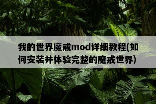 我的世界魔戒mod詳細教程，如何安裝并體驗完整的魔戒世界-圖1