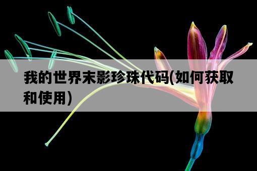 我的世界末影珍珠代碼，如何獲取和使用-圖1