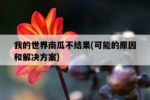 我的世界南瓜不結果，可能的原因和解決方案-圖1