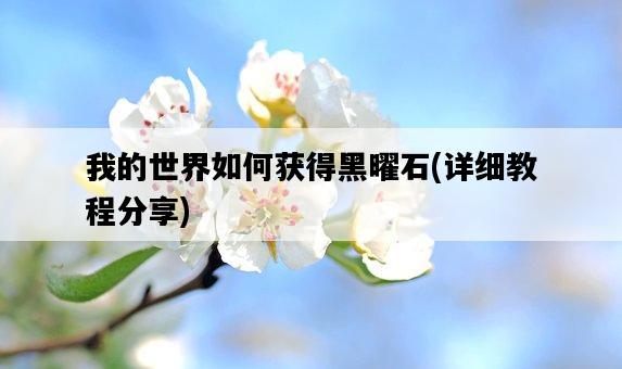 我的世界如何獲得黑曜石，詳細教程分享-圖1