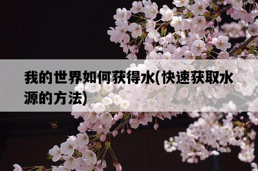 我的世界如何獲得水，快速獲取水源的方法-圖1
