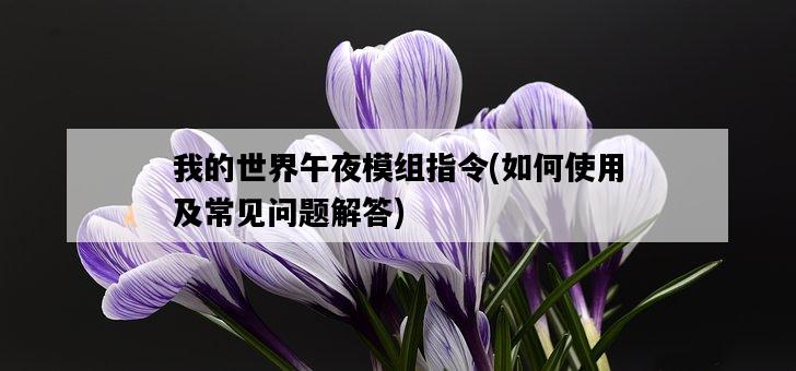 我的世界午夜模組指令，如何使用及常見問題解答-圖1
