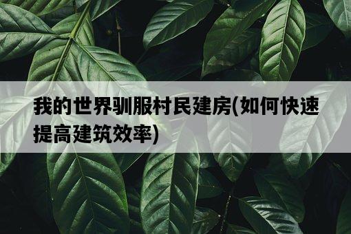 我的世界馴服村民建房，如何快速提高建筑效率-圖1