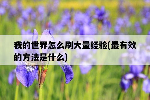我的世界怎么刷大量經驗，最有效的方法是什么-圖1