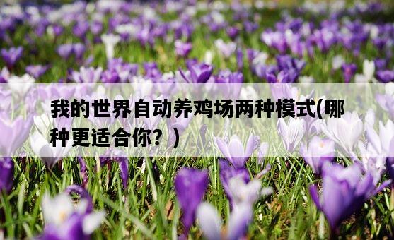 我的世界自動養雞場兩種模式，哪種更適合你？-圖1