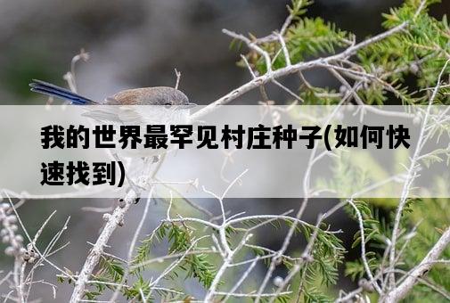 我的世界最罕見村莊種子，如何快速找到-圖1
