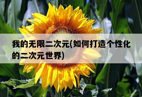 我的無限二次元，如何打造個性化的二次元世界-圖1