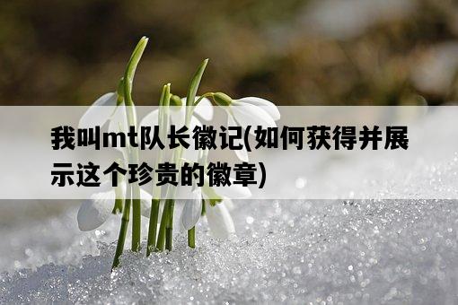 我叫mt隊長徽記，如何獲得并展示這個珍貴的徽章-圖1