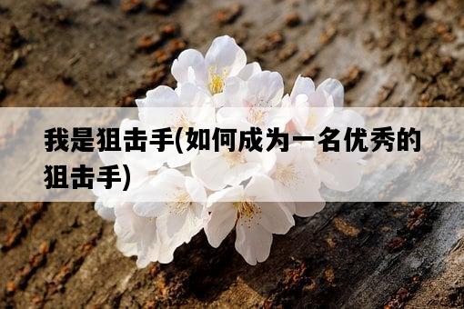 我是狙擊手，如何成為一名優秀的狙擊手-圖1