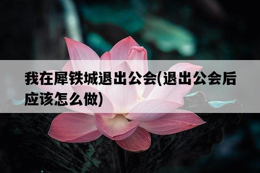 我在犀鐵城退出公會，退出公會后應該怎么做-圖1