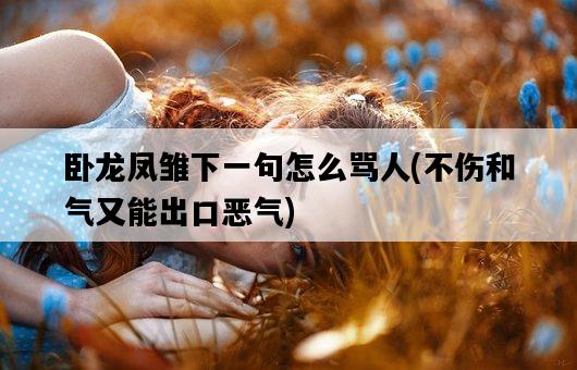 臥龍鳳雛下一句怎么罵人，不傷和氣又能出口惡氣-圖1