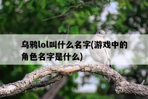 烏鴉lol叫什么名字，游戲中的角色名字是什么-圖1