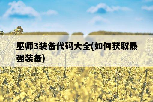 巫師3裝備代碼大全，如何獲取最強裝備-圖1