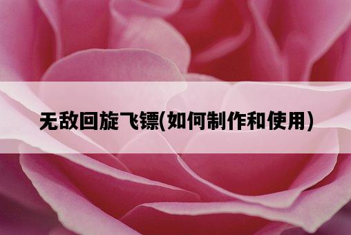 無敵回旋飛鏢，如何制作和使用-圖1