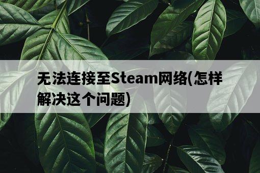 無法連接至Steam網絡，怎樣解決這個問題-圖1