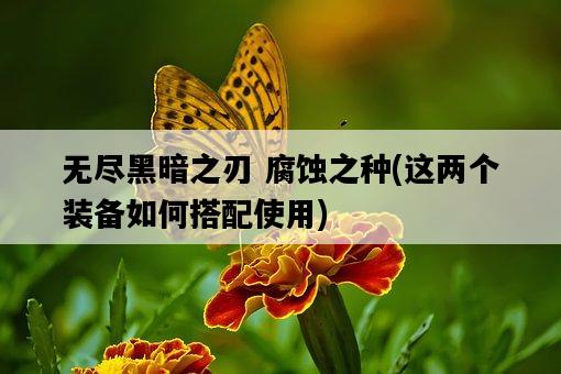 無盡黑暗之刃 腐蝕之種，這兩個裝備如何搭配使用-圖1