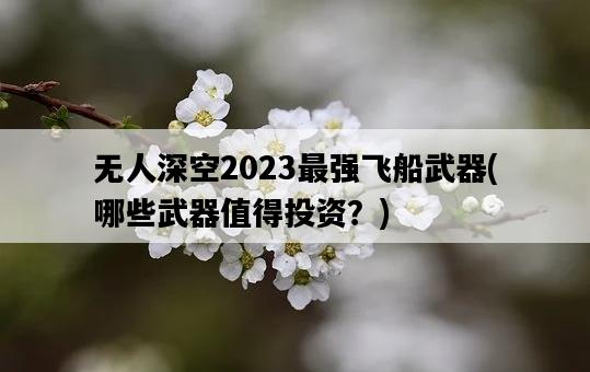 無人深空2023最強飛船武器，哪些武器值得投資？-圖1