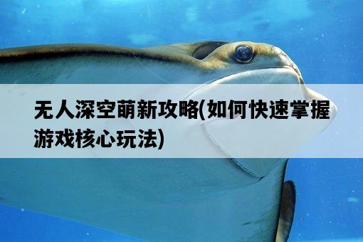 無人深空萌新攻略，如何快速掌握游戲核心玩法-圖1