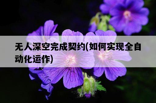 無人深空完成契約，如何實現全自動化運作-圖1
