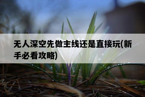 無人深空先做主線還是直接玩，新手必看攻略-圖1