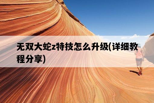 無雙大蛇z特技怎么升級，詳細教程分享-圖1