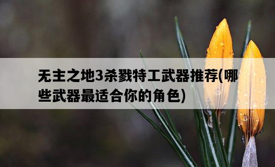無主之地3殺戮特工武器推薦，哪些武器最適合你的角色-圖1