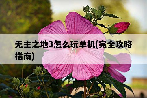 無主之地3怎么玩單機，完全攻略指南-圖1