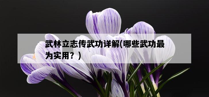 武林立志傳武功詳解，哪些武功最為實用？-圖1