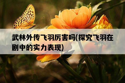 武林外傳飛羽厲害嗎，探究飛羽在劇中的實力表現-圖1