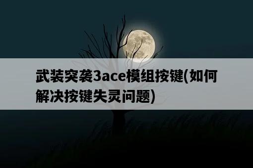武裝突襲3ace模組按鍵，如何解決按鍵失靈問題-圖1