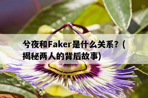 兮夜和Faker是什么關系？，揭秘兩人的背后故事-圖1