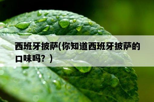 西班牙披薩，你知道西班牙披薩的口味嗎？-圖1