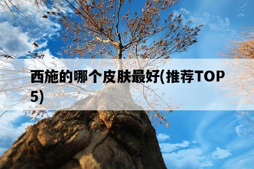西施的哪個皮膚最好，推薦TOP5-圖1