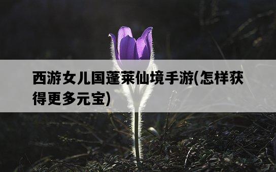西游女兒國蓬萊仙境手游，怎樣獲得更多元寶-圖1