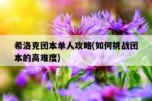 希洛克團本單人攻略，如何挑戰團本的高難度-圖1